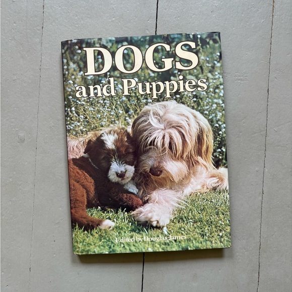 1977 Dogs and Puppies Dog Puppy Pet Photography Lab Sheepdog Animals - Picture 1 of 16
